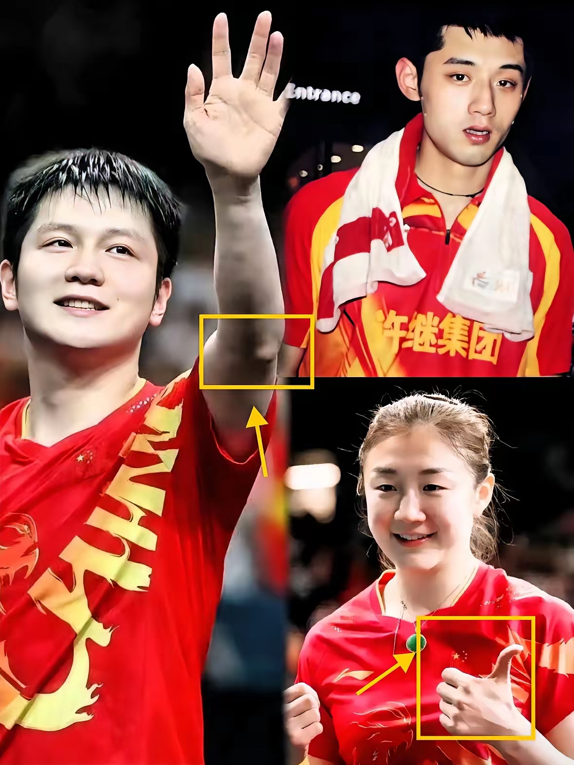 德国队横扫中国队，张继科刷新纪录