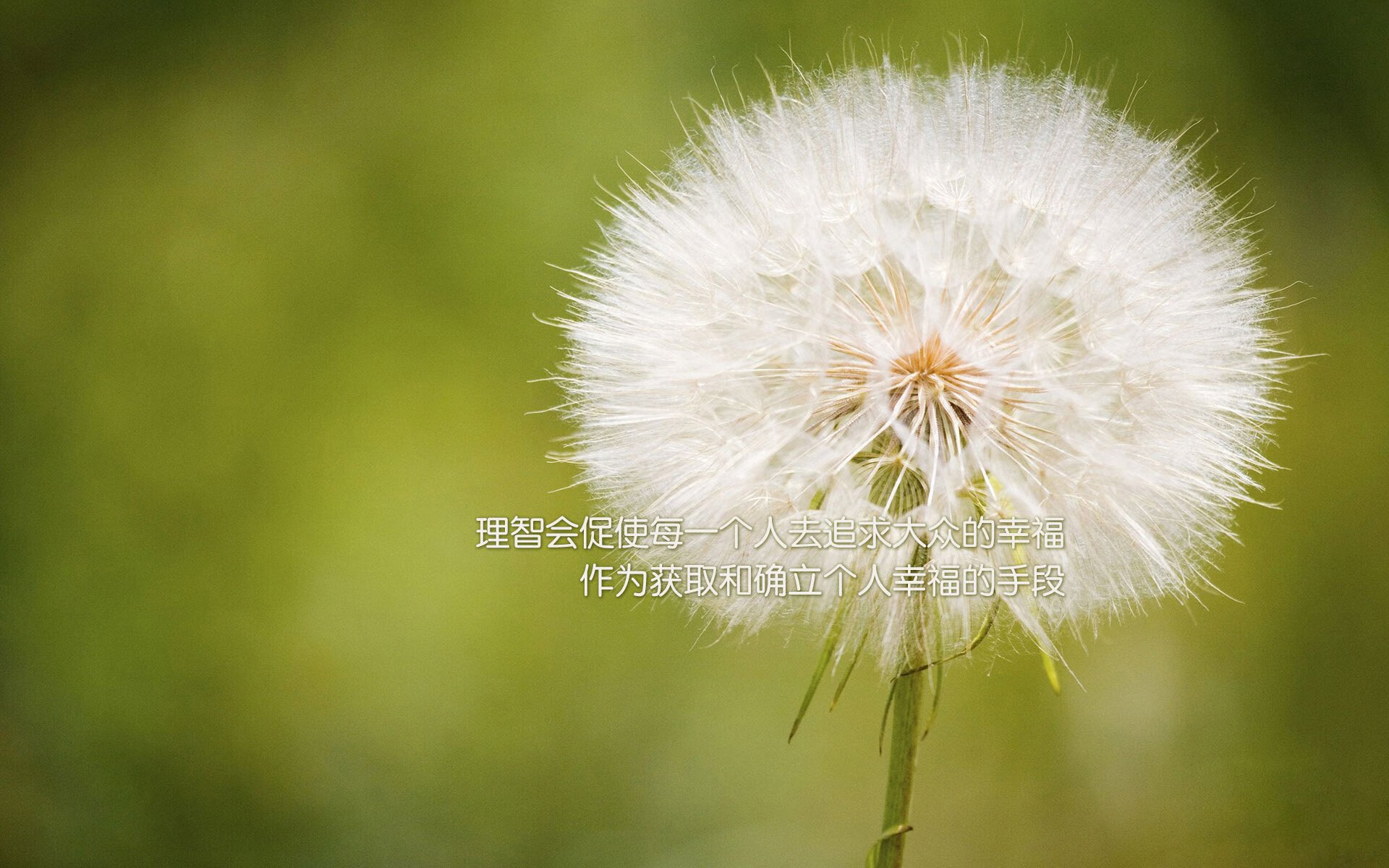 开云体育官网-美加墨世界杯热潮中的跨界焦点，活塞横扫骑士，篮球与足球的激情交响