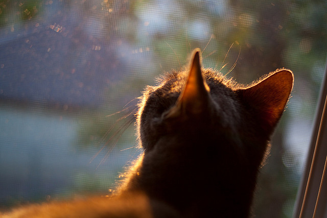 2026世界杯之夜,当阿圭罗的传奇,遇见更大的舞台