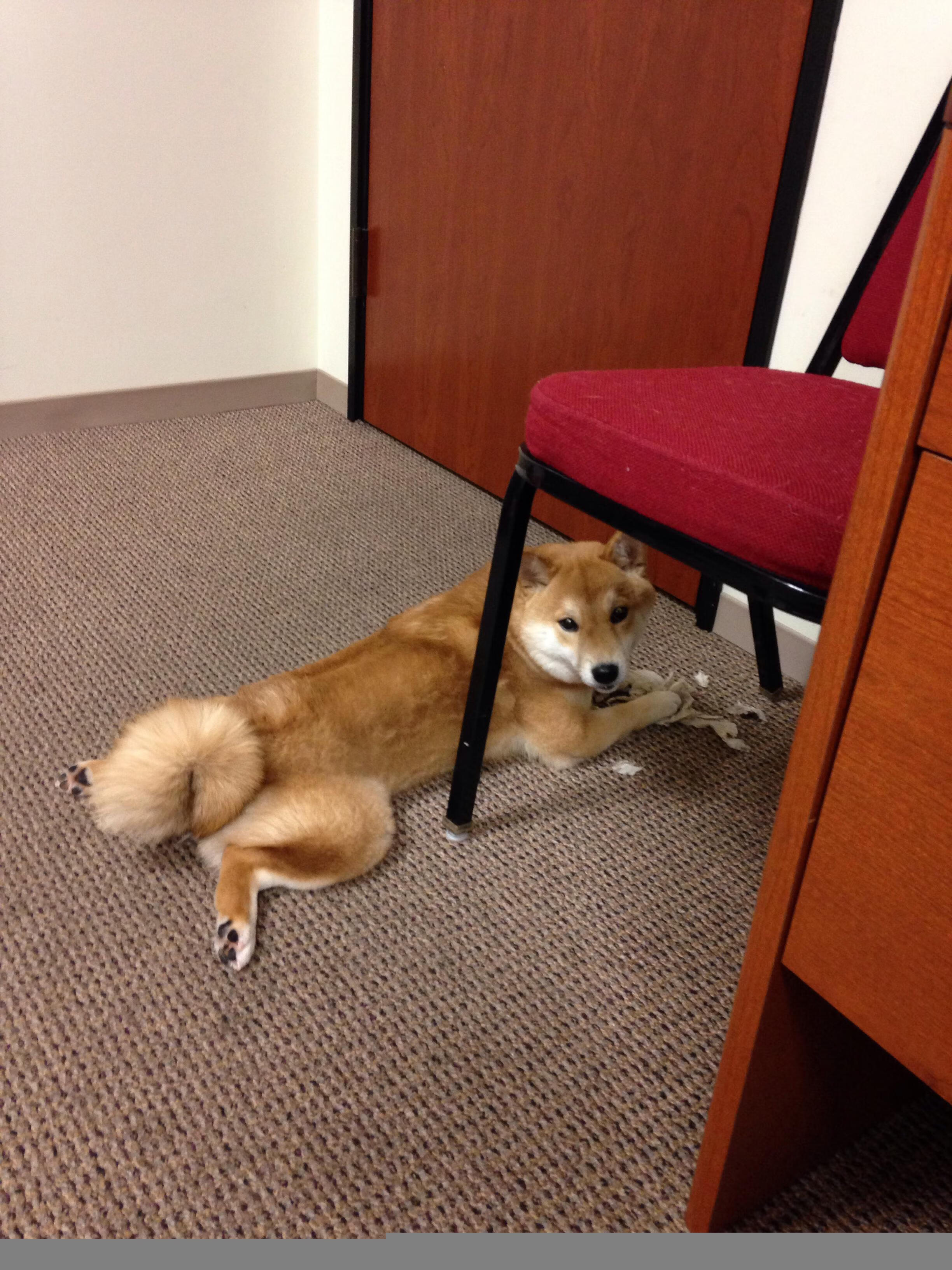 开云sport-足球的悖论，当小国的冷门遇见巨星的大舞台症候群