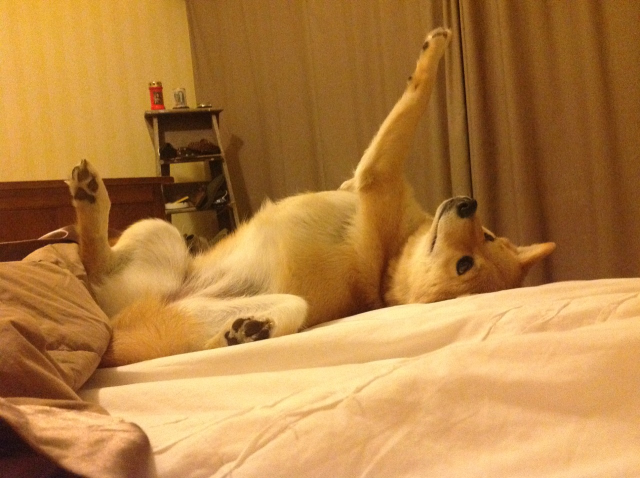 伦纳德爆砍40分主宰攻防,开拓者三节打卡提前终结山西队悬念