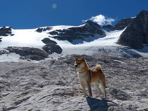 铁壁与节奏的战争，德罗赞冷血时刻掌控猛龙胜局