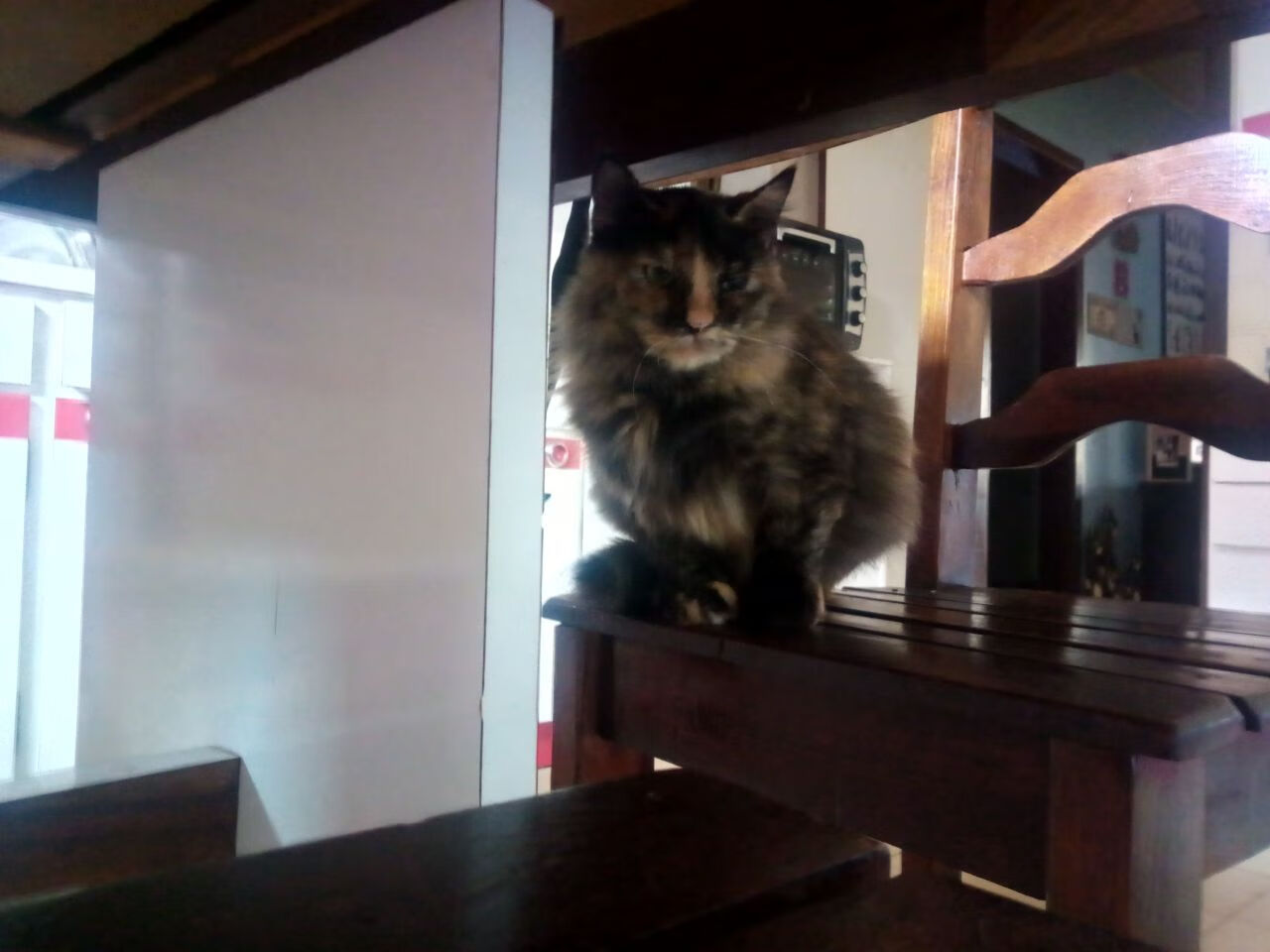 开云APP-彩虹之盾撼动德甲巨人，临时归乡的基米希，一脚踢出南非足球历史