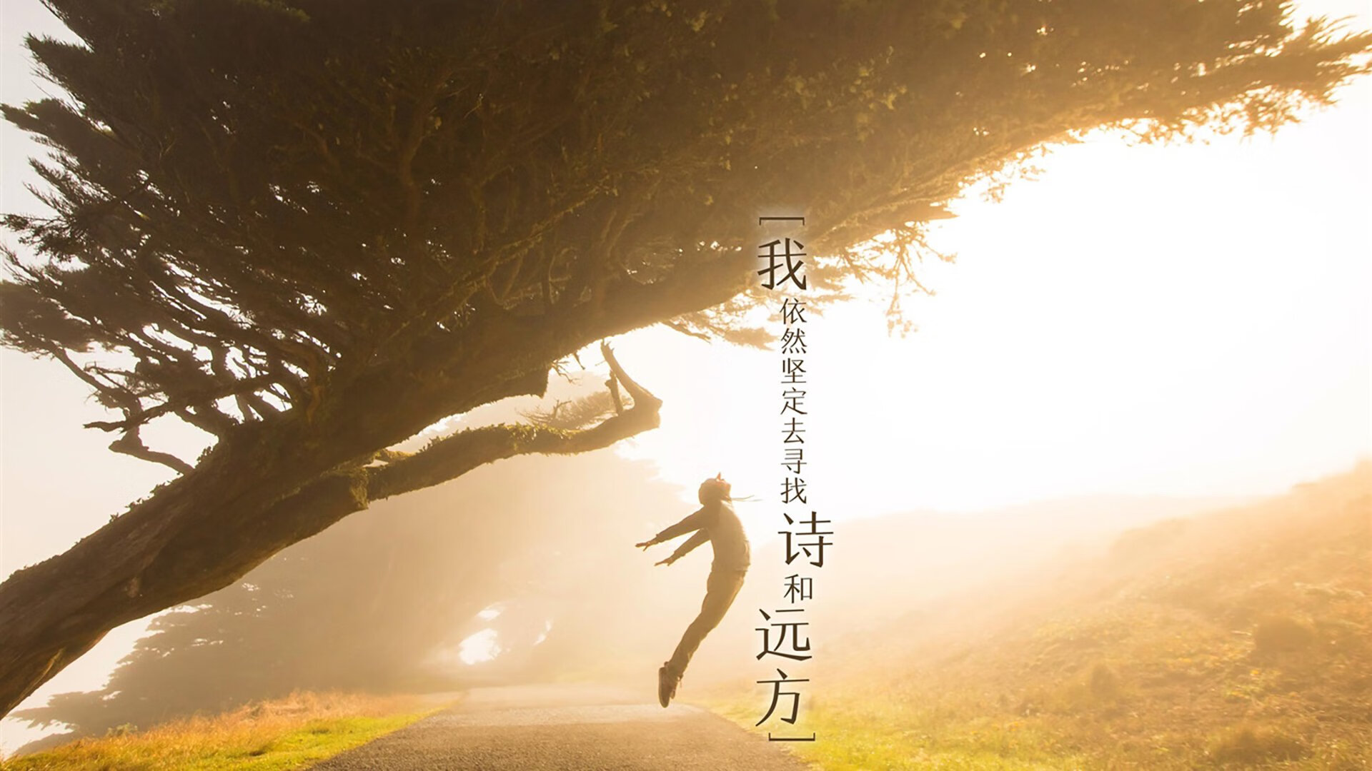 开云APP-沙漠风暴席卷美利坚,2026世界杯F组,伊拉克史诗级完胜,姆巴佩独木难支,门神封神一战